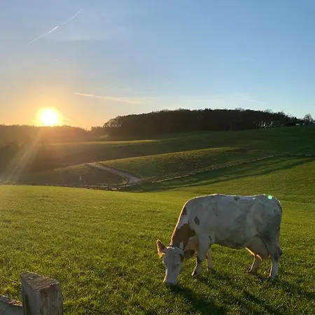 Ferienhaus Im Grünen *