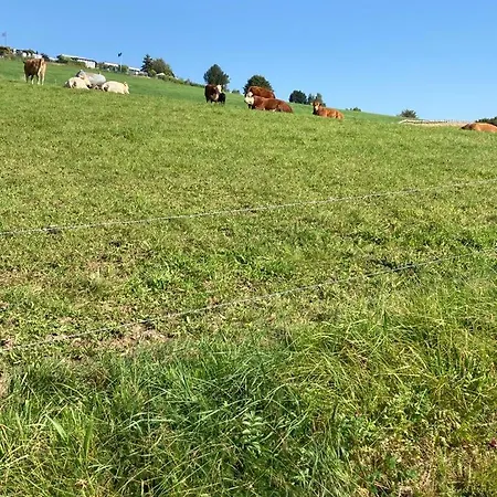 Ferienhaus Im Grünen