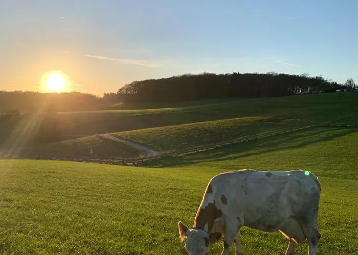 Hébergement de vacances Im Gruenen *