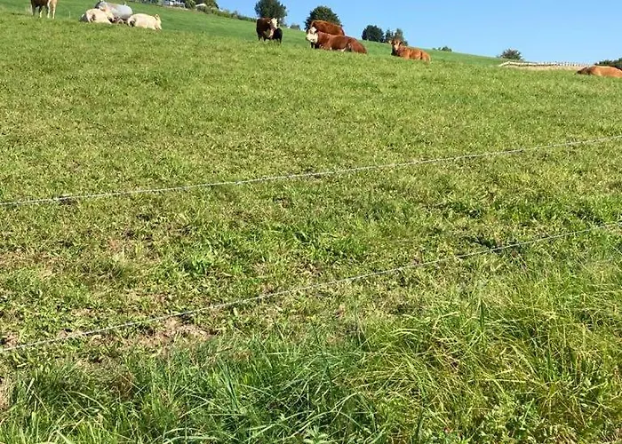 Hébergement de vacances Im Gruenen